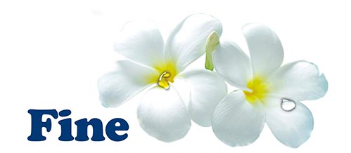 Купить Fine Gel